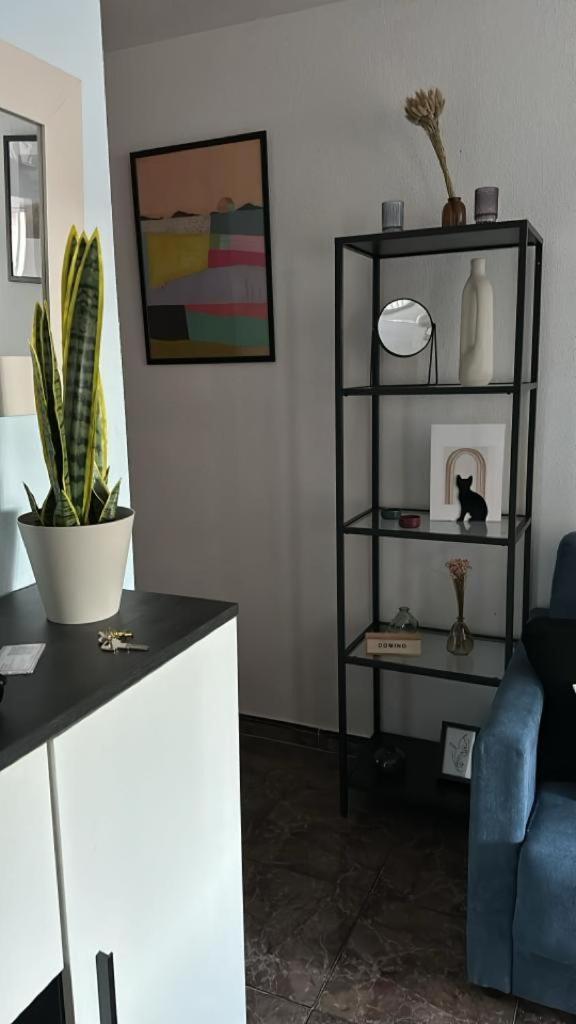 Playa De Los Naufragos Cozy Apartment With Pool Τορεβιέχα Εξωτερικό φωτογραφία
